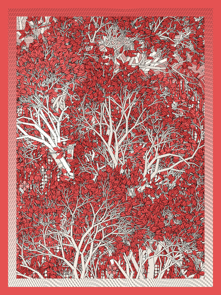final test edition project